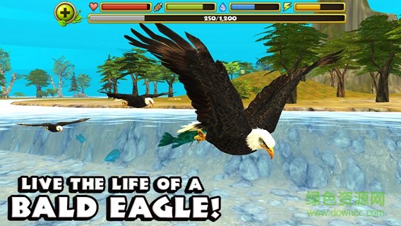 模拟猎鹰中文版(Eagle Simulator)