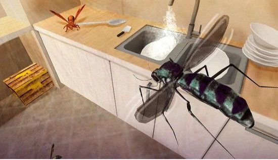 蚊子家庭生活模拟器游戏下载安卓版