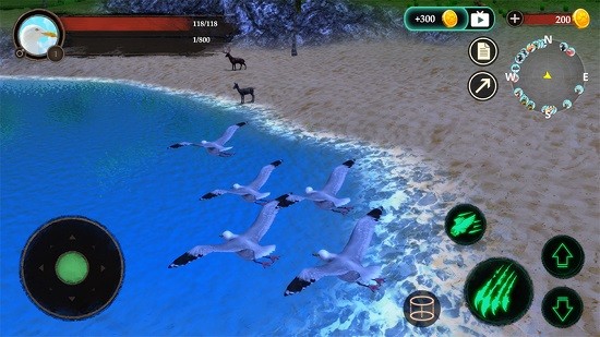海鸥模拟器游戏下载安卓版
