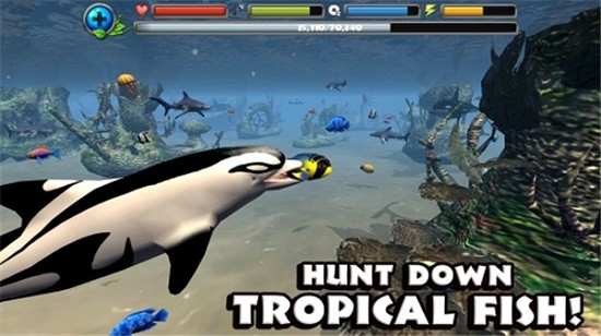 终极海豚模拟器游戏下载安卓版