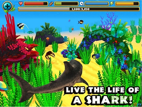 模拟鲨鱼下载安卓版