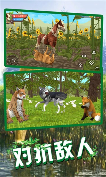 狼王狩猎模拟游戏下载安卓版