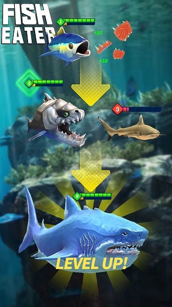 鲨鱼进化论游戏下载安卓版