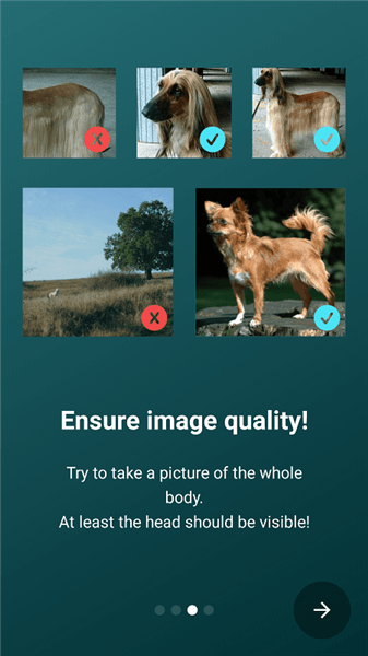 狗狗品种鉴定软件下载安卓版