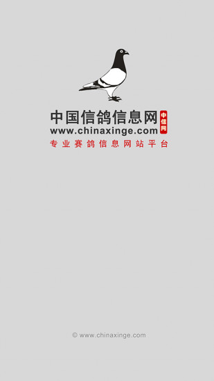 中国信鸽信息网app下载安卓版