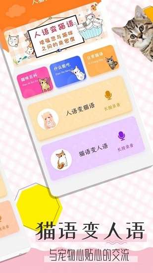 猫语翻译宝app下载安卓版