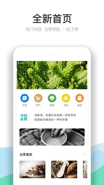 云南季app下载安卓版