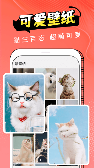 pet猫翻译最新版本
