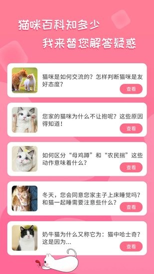 人猫翻译神器app下载安卓版