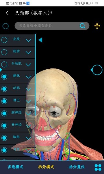 医维度解剖app下载安卓版