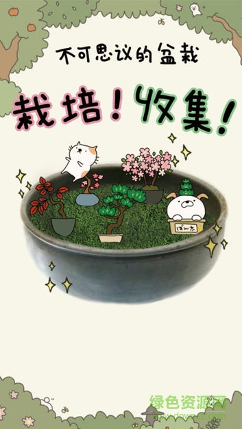 猫咪盆栽中文