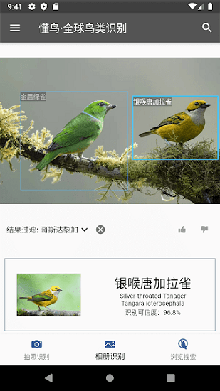 懂鸟全球app下载安卓版