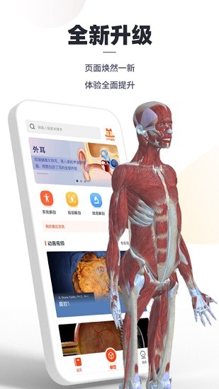 口袋解剖app下载安卓版