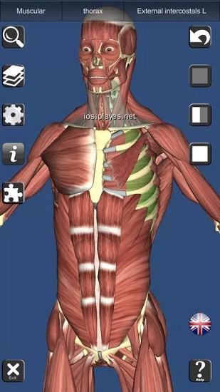 anatomy learning app下载安卓版