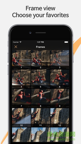 GIF Viewer苹果版(gif动图相册) v1.92 iphone版