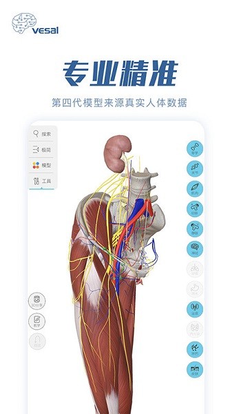 解剖大师app下载安卓版