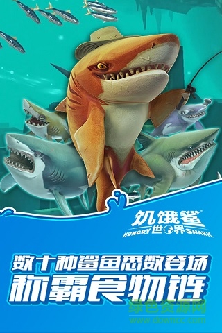 饥饿鲨世界国际版下载安卓版