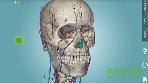 3d人体解剖学图集软件下载安卓版
