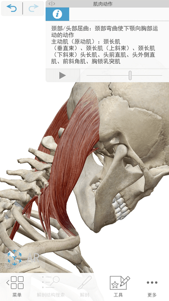 2023人体解剖学图谱苹果版 v2023.4.11 官方版