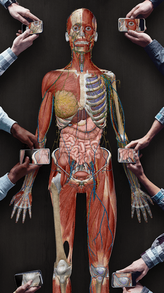 2021人体解剖学图谱ios下载
