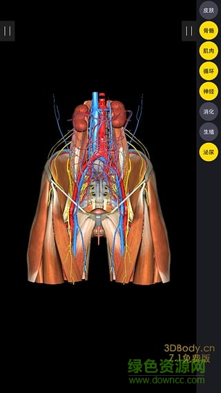 3Dbody解剖免费ios版 v8.7.30 iphone官方版