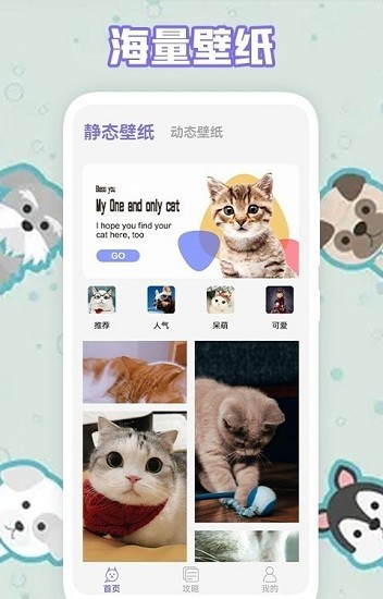 多多养猫助手app下载安卓版
