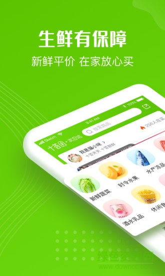 十荟团团长端app下载安卓版