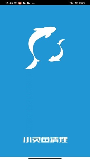 小灵鱼清理app下载安卓版