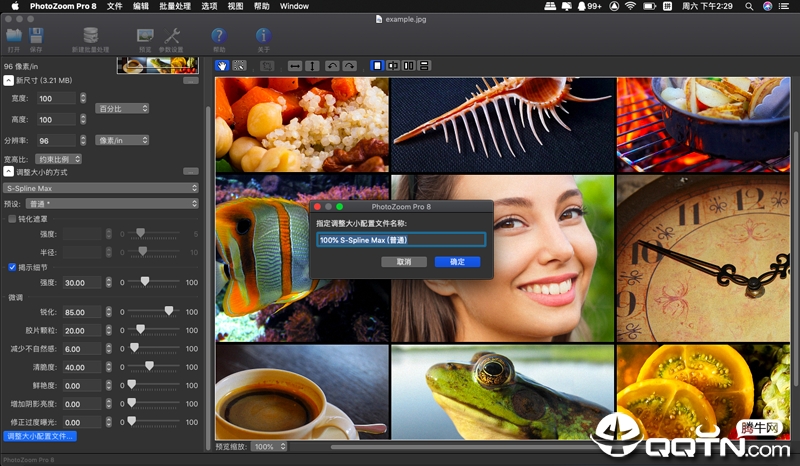 PhotoZoom Pro Mac版
