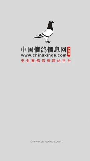 中国信鸽信息网官方app