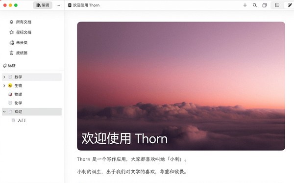 Thorn写作软件