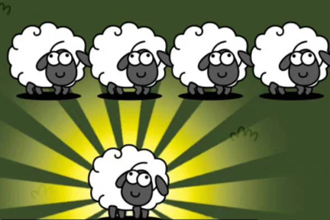 羊了个羊怎么加入羊群 羊了个羊加入羊群没有反应是怎么回事
