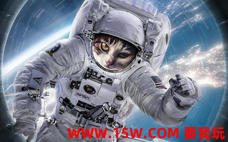太空猫太空猫多少钱