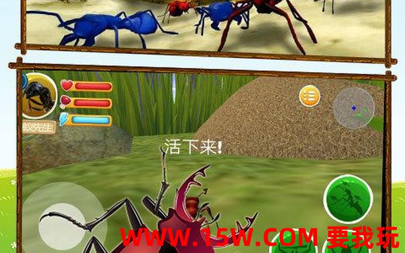 昆虫游戏_昆虫游戏电脑