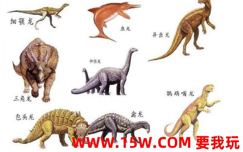 恐龙的种类有哪些_恐龙的种类有哪些图片