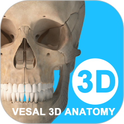 维萨里3d解剖app v5.8.4 安卓最新免费版