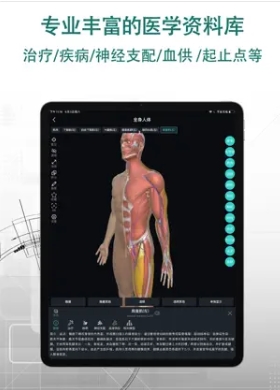 掌上3D解剖-人体解剖图谱和课程 ios版 v2.2.1 iphone 版