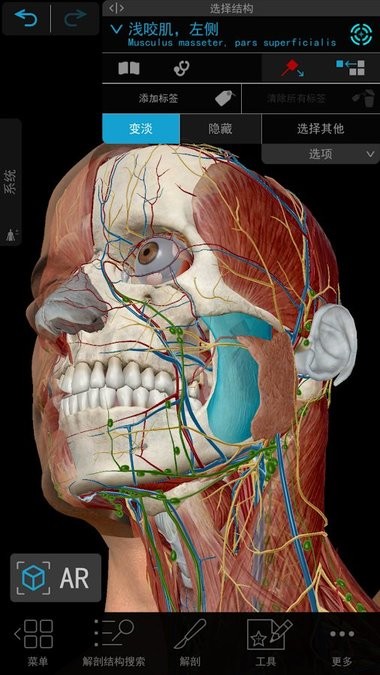 2023人体解剖学图谱下载ios