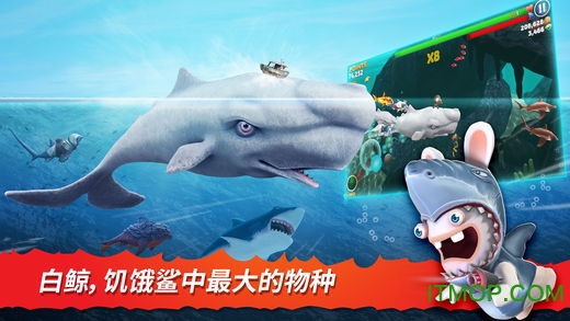 饥饿鲨进化ios官方版Hungry Shark Evolution下载 v9.6.8 iphone版中文最新版