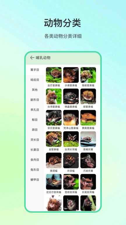 动物百科app下载