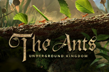 小小蚁国国际版The Ants
