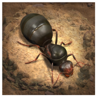 小小蚁国The Ants国际版apk最新版V3.24.0安卓手机版