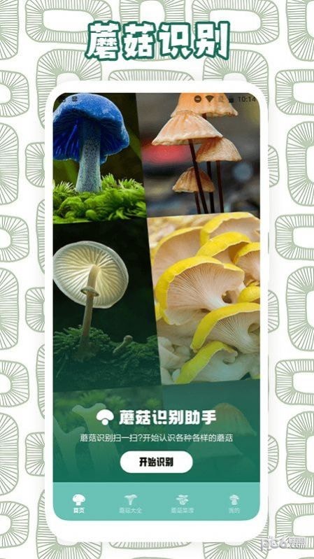 蘑菇识别软件app下载