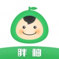 胖柚安卓版v1.12.25