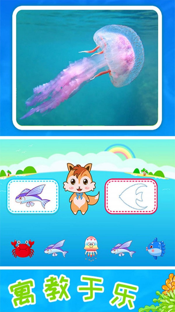 儿童宝宝海洋世界app下载