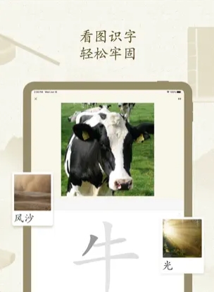 最最汉字-小天才的识字助手苹果下载