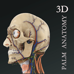掌上3d解剖app v2.5.1 安卓版