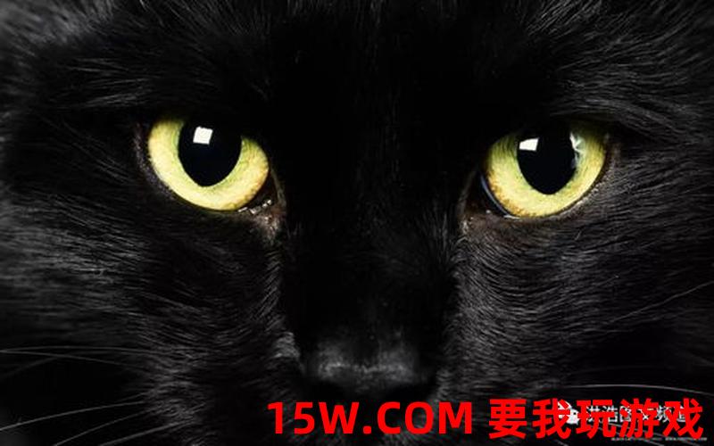 黑猫攻略-黑猫攻略手册：黑猫攻略大作战