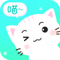 宠猫翻译安卓版v1.0.0