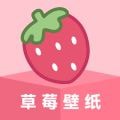 草莓壁纸安卓版v1.7.0